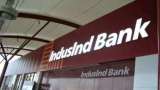 IndusInd Bank biggest Nifty loser, stock plunges despite healthy Q2 earnings: Should you buy? 